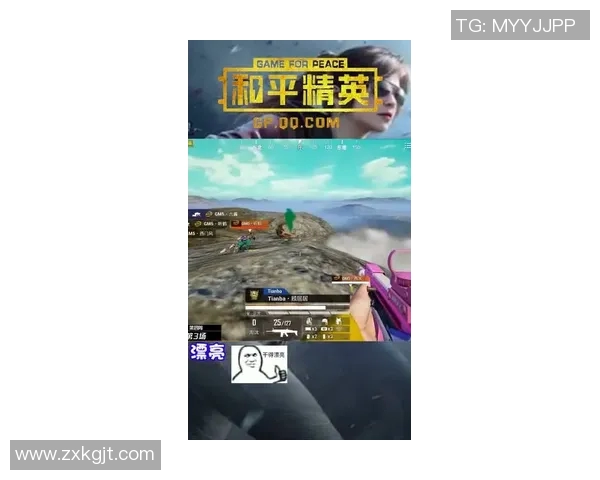 G2战队与AFC对决精彩回顾及战术分析全景呈现