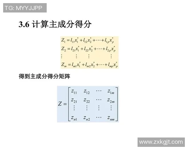 深入探讨北京足球队近期状态表现与数据分析的全面解读